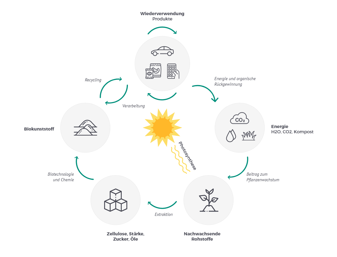 Wertschöpfungsprozess biobasierte Kunststoffe